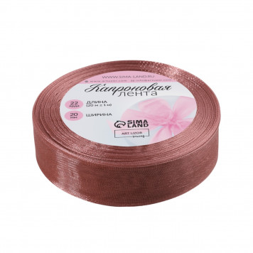 Лента капроновая 20мм*22±1ярд(20м±1м) №171 пудровый АУ
