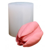 Молд Тюльпан полураскрытый МБ