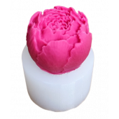 Молд Пион МБ