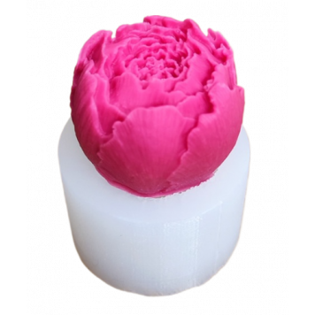 Молд Пион МБ