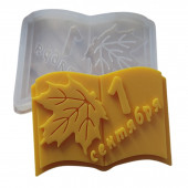 Молд Книга 1 сентября МБ