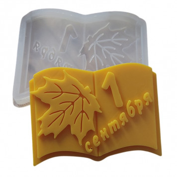 Молд Книга 1 сентября МБ