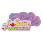 Силиконовая форма №980 С днем учителя №2