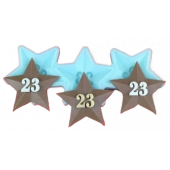 Силиконовая форма №528 Звезда 23