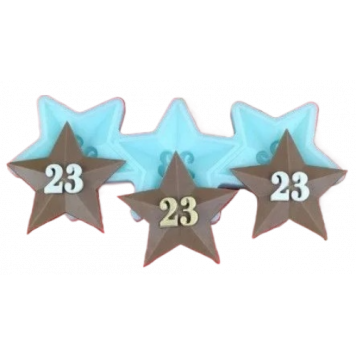 Силиконовая форма №528 Звезда 23