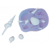 Силиконовая форма №860 Ракушки микс №5