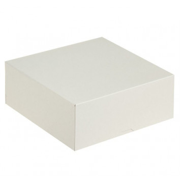 Коробка 25*25*10 без окна белая