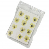 Анютины глазки желтые, 12шт