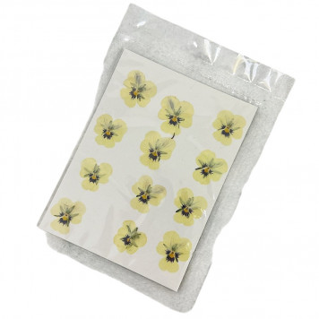 Анютины глазки желтые, 12шт