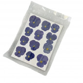 Анютины глазки фиолетовые большие, 12шт