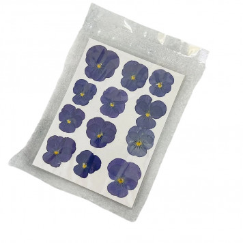 Анютины глазки фиолетовые большие, 12шт