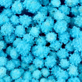 Посыпки Помпоны голубые, 50г