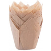 Тюльпан бежевый 50*80мм, 50шт