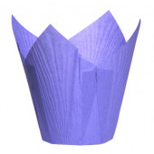 Тюльпаны Фиолетовые 50*80мм, 50шт