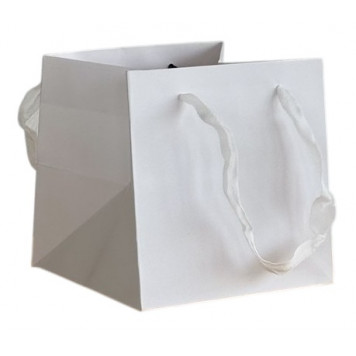 Пакет 21*21*21см белый