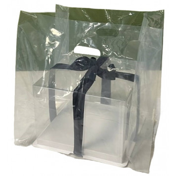 Пакет прозрачный 33*45см