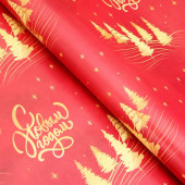 Бумага упаковочная новогодняя «С Новым годом», глянец, двусторонняя, 80 г/м², 50×70 см