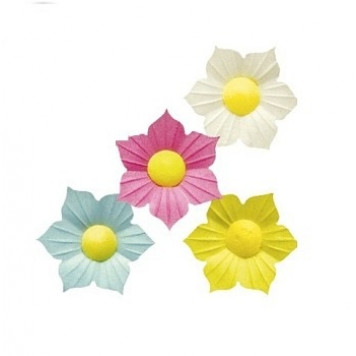 Вафельные нарциссы, 10шт