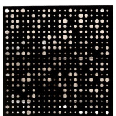 Трафарет для творчества «Горох», 15 х 15 см