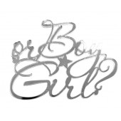 Бенто-топпер / Boy or Girl B1 / акрил  зеркальный серебро