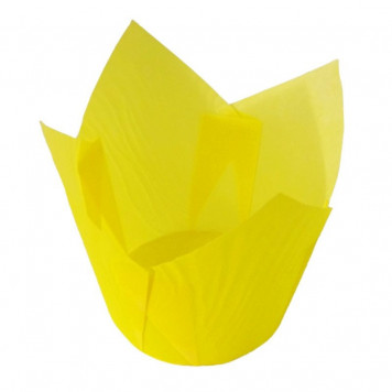 Тюльпан желтый 50*80мм, 25шт