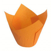 Тюльпан оранжевый 50*80мм, 25шт