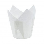 Тюльпан голубой 50*80мм, 25шт